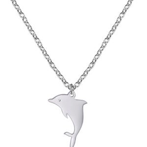 Collar de acero inoxidable con dije de delfin plateado