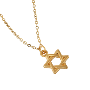 Collar de acero inoxidable con estrella de David Dorado